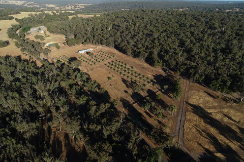 Julimar Date Garden - Accommodation Port Macquarie 0