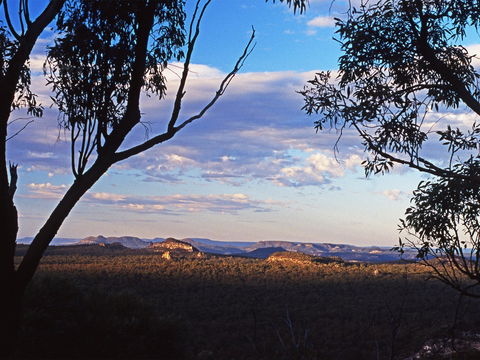 Ka Ka Mundi, Carnarvon National Park - Accommodation Port Macquarie 0