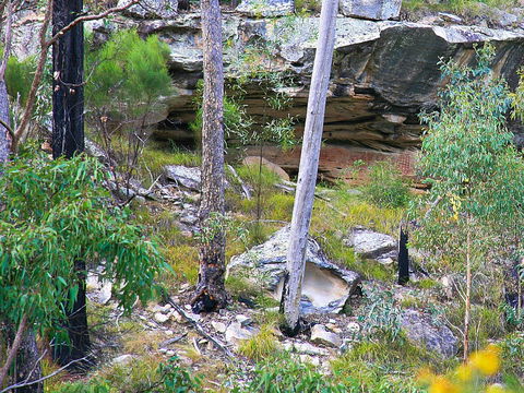 Ka Ka Mundi, Carnarvon National Park - Accommodation Port Macquarie 1