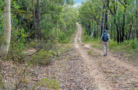 Kangaroo River Walking Track - Accommodation Port Macquarie 0