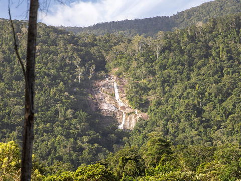 Kearneys Falls - Accommodation Port Macquarie 0