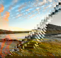 Killalea Reserve - Accommodation Port Macquarie