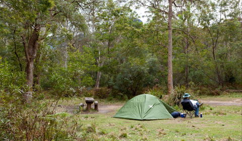 Long Gully Picnic Area - Accommodation Port Macquarie 0