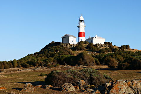 Low Head Foghorn - Accommodation Port Macquarie 1