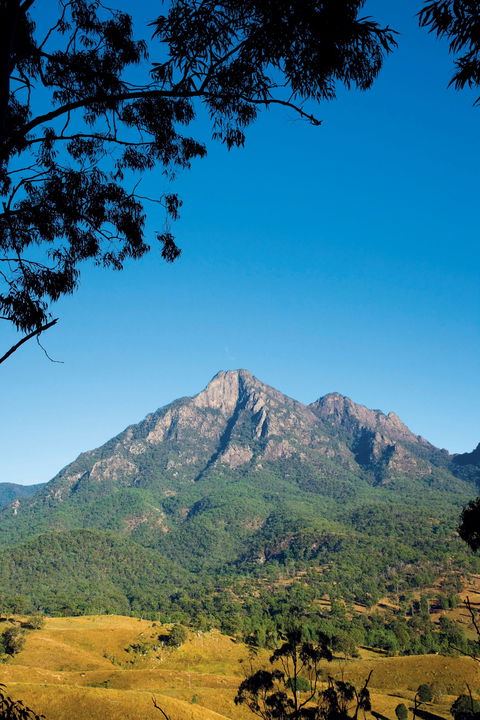 Mount Barney National Park - Accommodation Port Macquarie 1