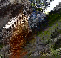 Mystery Face Walking Track - Accommodation Port Macquarie