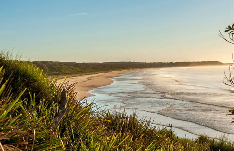 Narrawallee Creek Nature Reserve - Accommodation Port Macquarie 0