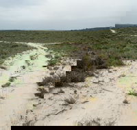 Ngarkat Conservation Park - Accommodation Port Macquarie