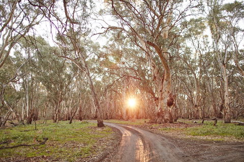 Nyah Vinifera Park - Accommodation Port Macquarie 1