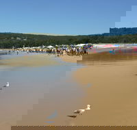 Ocean Beach Umina - Accommodation Port Macquarie