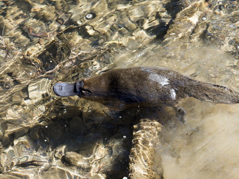 Orara River - Accommodation Port Macquarie 1