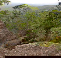 Pigeon House Mountain Didthul Walking Track - Accommodation Port Macquarie