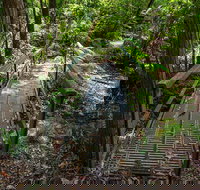 Rocky Crossing walk - Accommodation Port Macquarie