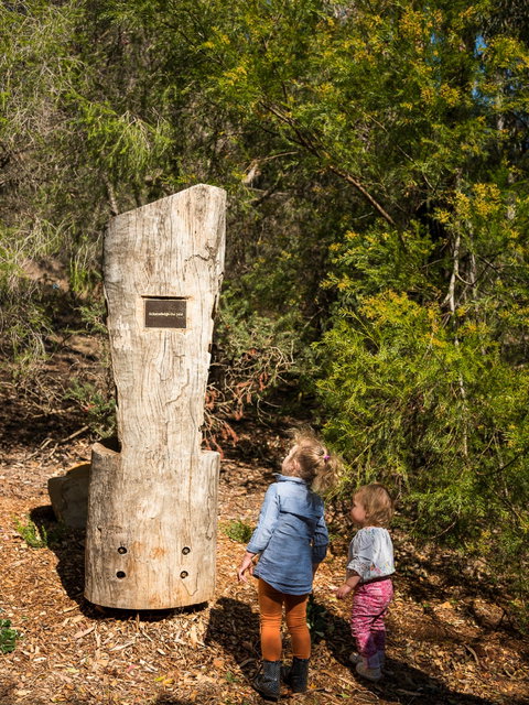 Rotary Peace Precinct - Accommodation Port Macquarie 1