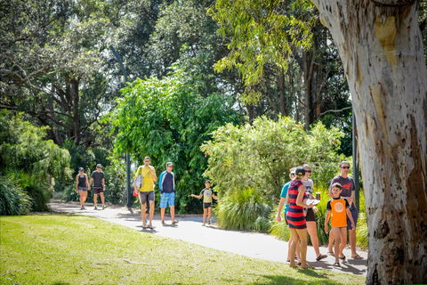 Round The Bay Walking Track: Huskisson To Vincentia - Accommodation Port Macquarie 1