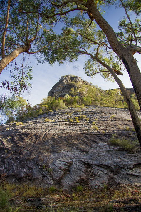 Salvator Rosa, Carnarvon National Park - Accommodation Port Macquarie 1