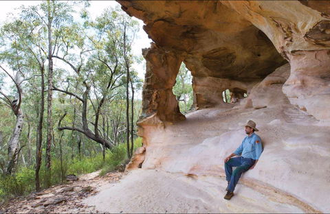 Sandstone Caves Walking Track - Accommodation Port Macquarie 0