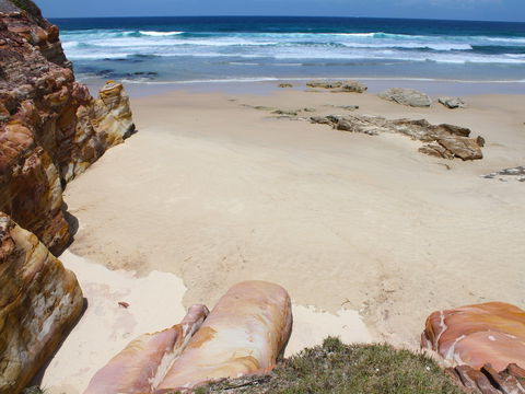Shelley Caves - Accommodation Port Macquarie 2