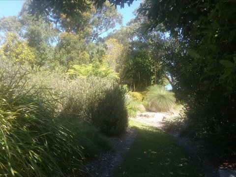 Shoalhaven Heads Native Botanic Garden - Accommodation Port Macquarie 2