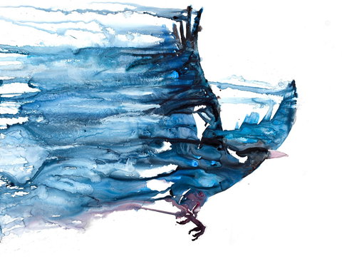 Sluga Gallery - Accommodation Port Macquarie 1