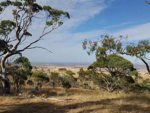 Spring Gully Conservation Park - Accommodation Port Macquarie 1