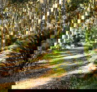 Square Head Track 2 - Accommodation Port Macquarie