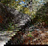Starlights Trail - Accommodation Port Macquarie