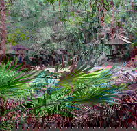 Sugar Creek Picnic Area - Accommodation Port Macquarie