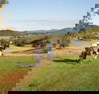 Tamworth and Kootingal Horse Riding Adventures - Accommodation Port Macquarie