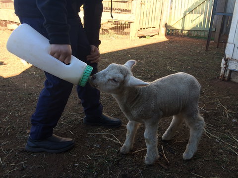 Taralga Wildlife Park - Accommodation Port Macquarie 0