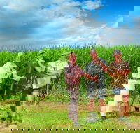 The Shed Gallery - Accommodation Port Macquarie