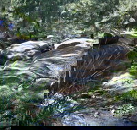 Towarri National Park - Accommodation Port Macquarie