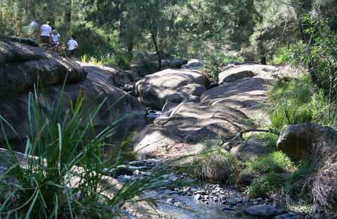 Towarri National Park - Accommodation Port Macquarie 0