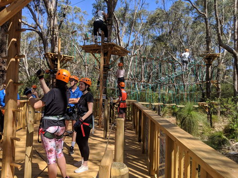Trees Adventure - Yanchep Park - Accommodation Port Macquarie 0