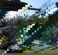 Trees Adventure - Lane Poole Park - Accommodation Port Macquarie