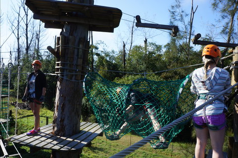 Trees Adventure - Lane Poole Park - Accommodation Port Macquarie 0