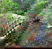 Waitui Falls - Accommodation Port Macquarie