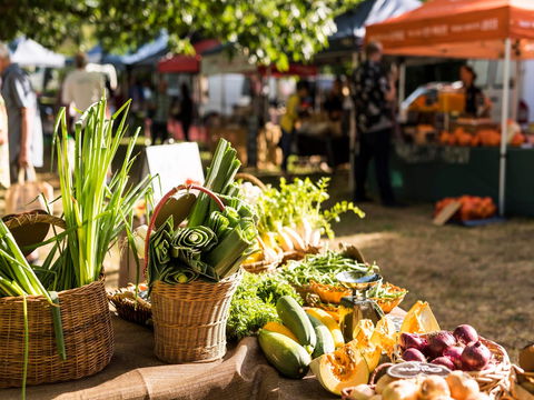Warragul Farmers Market - Accommodation Port Macquarie 1