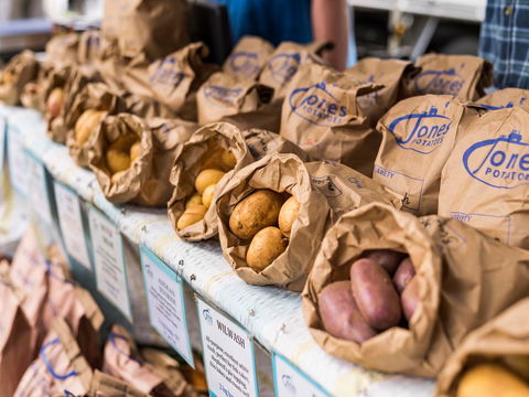 Warragul Farmers Market - Accommodation Port Macquarie 2