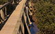 Warringine Park & Bittern Coastal Wetlands Boardwalk - thumb 0