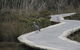 Warringine Park & Bittern Coastal Wetlands Boardwalk - thumb 1