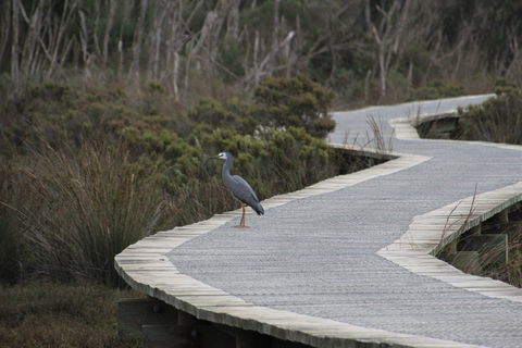 Warringine Park & Bittern Coastal Wetlands Boardwalk - Accommodation Port Macquarie 1
