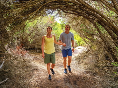 Woody Island Nature Reserve - Accommodation Port Macquarie 1