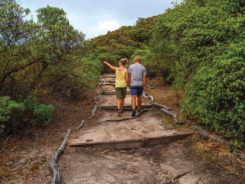 Woody Island Nature Reserve - Accommodation Port Macquarie 2