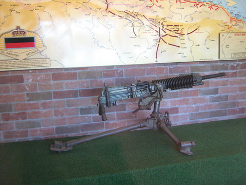 Woodpecker Gun - Accommodation Port Macquarie 0