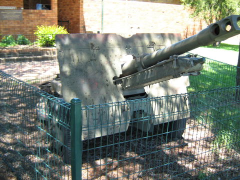 Woodpecker Gun - Accommodation Port Macquarie 1