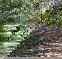 Andersons Trail - Accommodation Port Macquarie