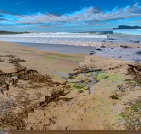 Avenue Beach - Accommodation Port Macquarie