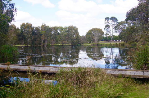 Baldwin Swamp Environmental Park - Accommodation Port Macquarie 0