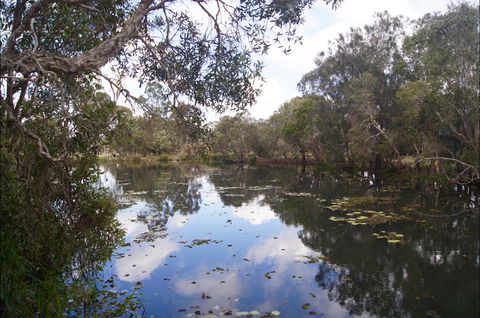 Baldwin Swamp Environmental Park - Accommodation Port Macquarie 2
